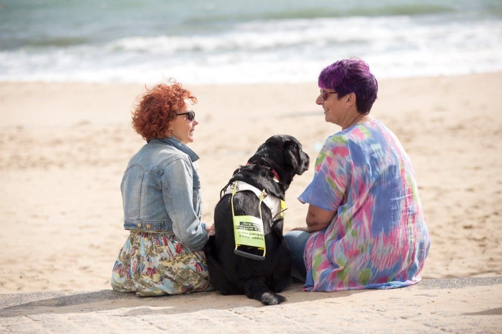 picture of guide dog on the beach